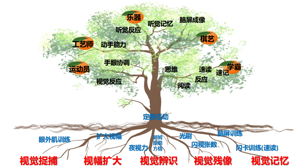 第1系列 扎根课程 视听觉专注力(眼睛健身房课程) 听力瑜伽馆(图13) 第1系列 扎根课程 视听觉专注力(眼睛健身房课程) 听力瑜伽馆(图13)
