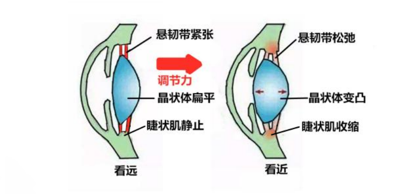第1系列 扎根课程 视听觉专注力(眼睛健身房课程) 听力瑜伽馆(图33) 第1系列 扎根课程 视听觉专注力(眼睛健身房课程) 听力瑜伽馆(图33)