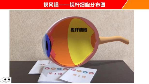 第1系列 扎根课程 视听觉专注力(眼睛健身房课程) 听力瑜伽馆(图36) 第1系列 扎根课程 视听觉专注力(眼睛健身房课程) 听力瑜伽馆(图36)