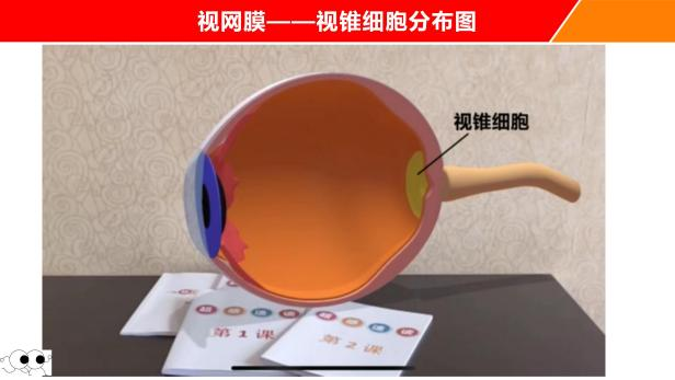 第1系列 扎根课程 视听觉专注力(眼睛健身房课程) 听力瑜伽馆(图35) 第1系列 扎根课程 视听觉专注力(眼睛健身房课程) 听力瑜伽馆(图35)