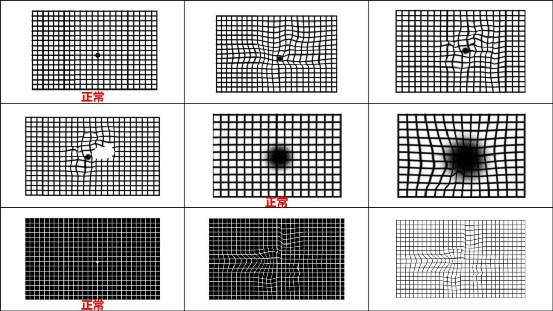 第1系列 扎根课程 视听觉专注力(眼睛健身房课程) 听力瑜伽馆(图37) 第1系列 扎根课程 视听觉专注力(眼睛健身房课程) 听力瑜伽馆(图37)