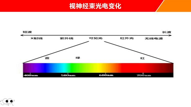 第1系列 扎根课程 视听觉专注力(眼睛健身房课程) 听力瑜伽馆(图40) 第1系列 扎根课程 视听觉专注力(眼睛健身房课程) 听力瑜伽馆(图40)