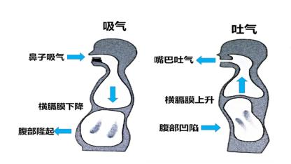 第2系列 提效课程 思维阅读记忆 超感速读课程(图7)