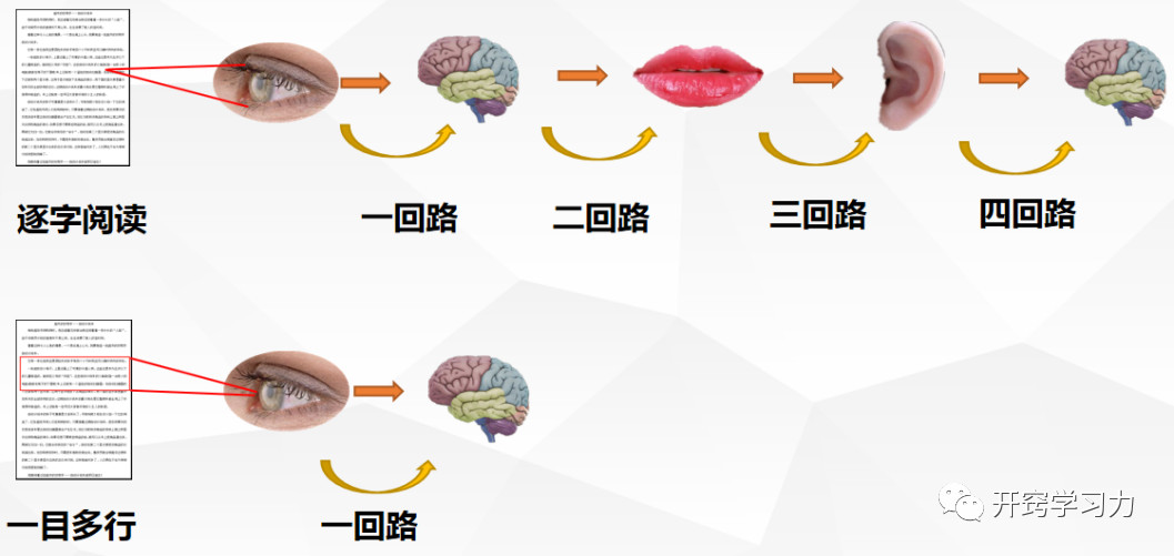 第2系列 提效课程 思维阅读记忆 超感速读课程(图27)