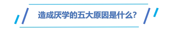 扎根课程(图15)