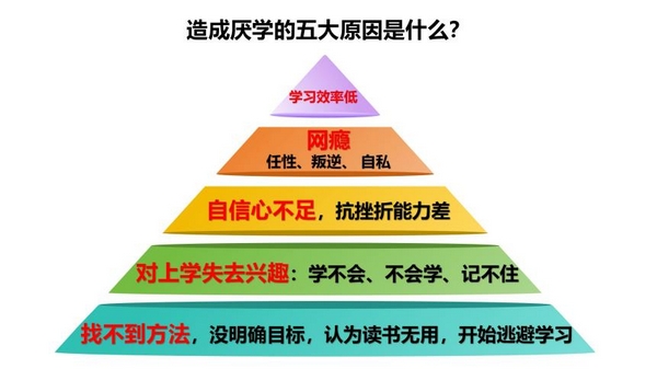 扎根课程(图16)