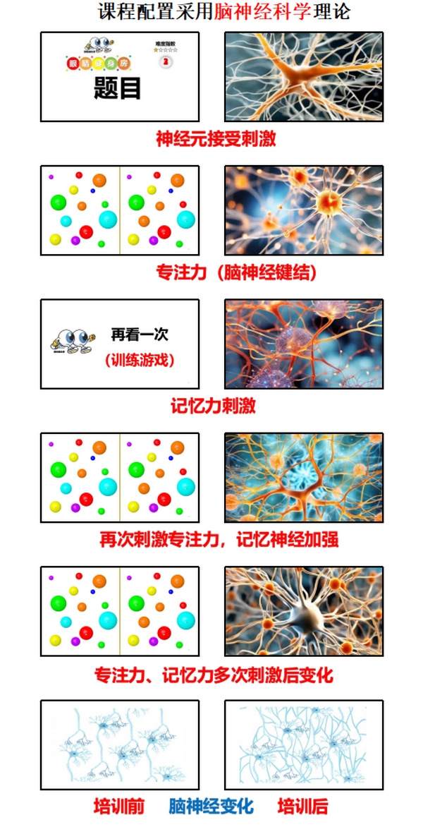 扎根课程(图18)