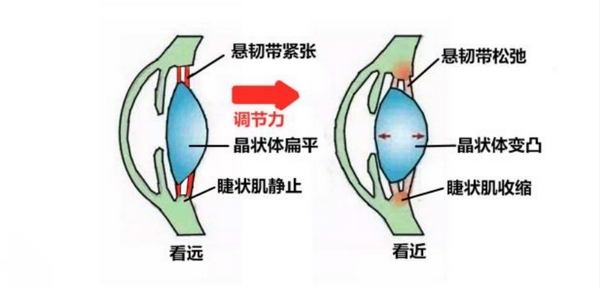 扎根课程(图32)