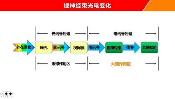 扎根课程(图40)